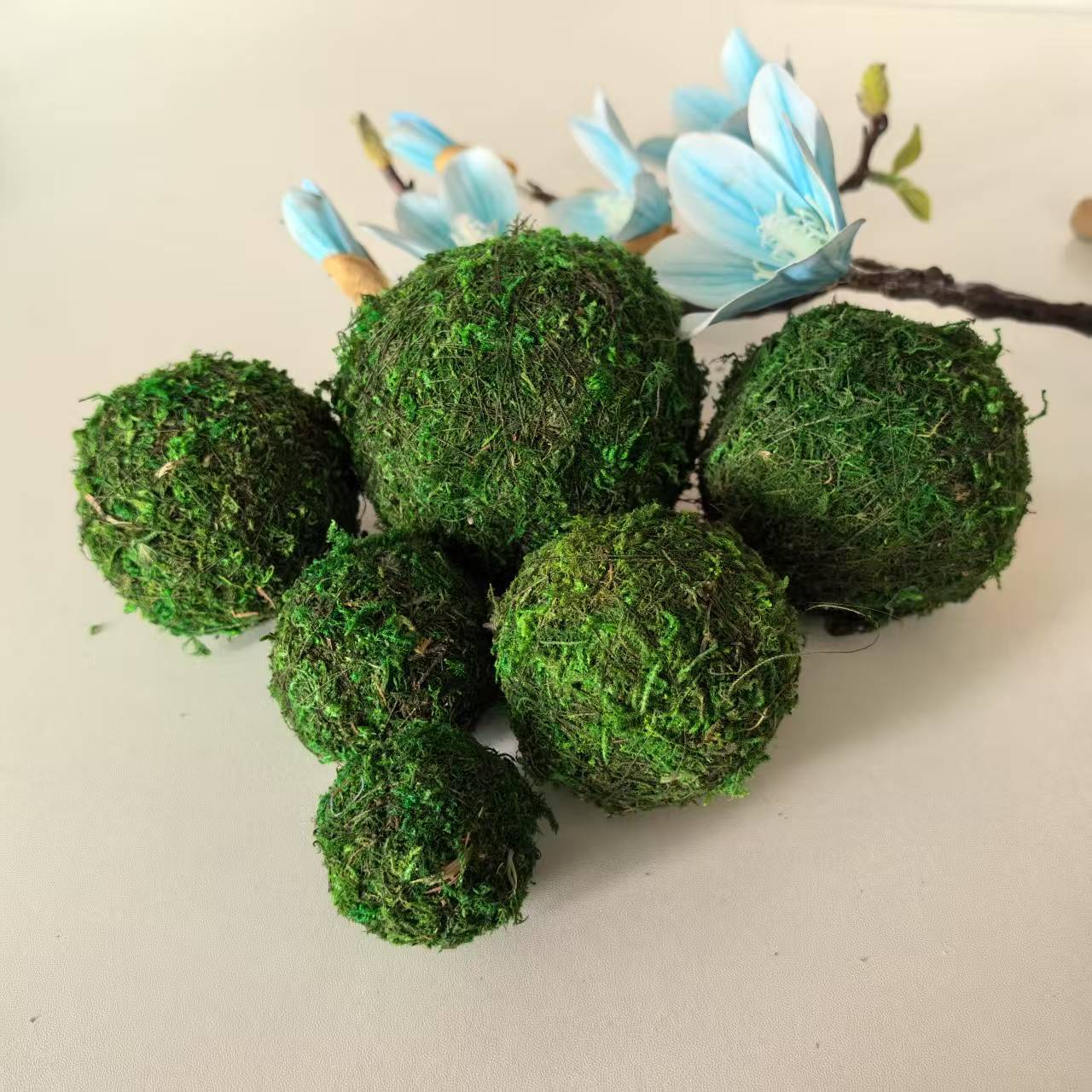 Поставка мохового шара, экспорт в Японию и Европу, цветочный горшок, сушеный цветок
