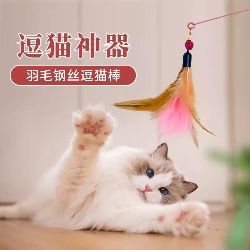 Cat Toy Teaser Stick with Steel Wire, Colorful Feathers, and Bell, Pet Cat Training Stick for Interaction