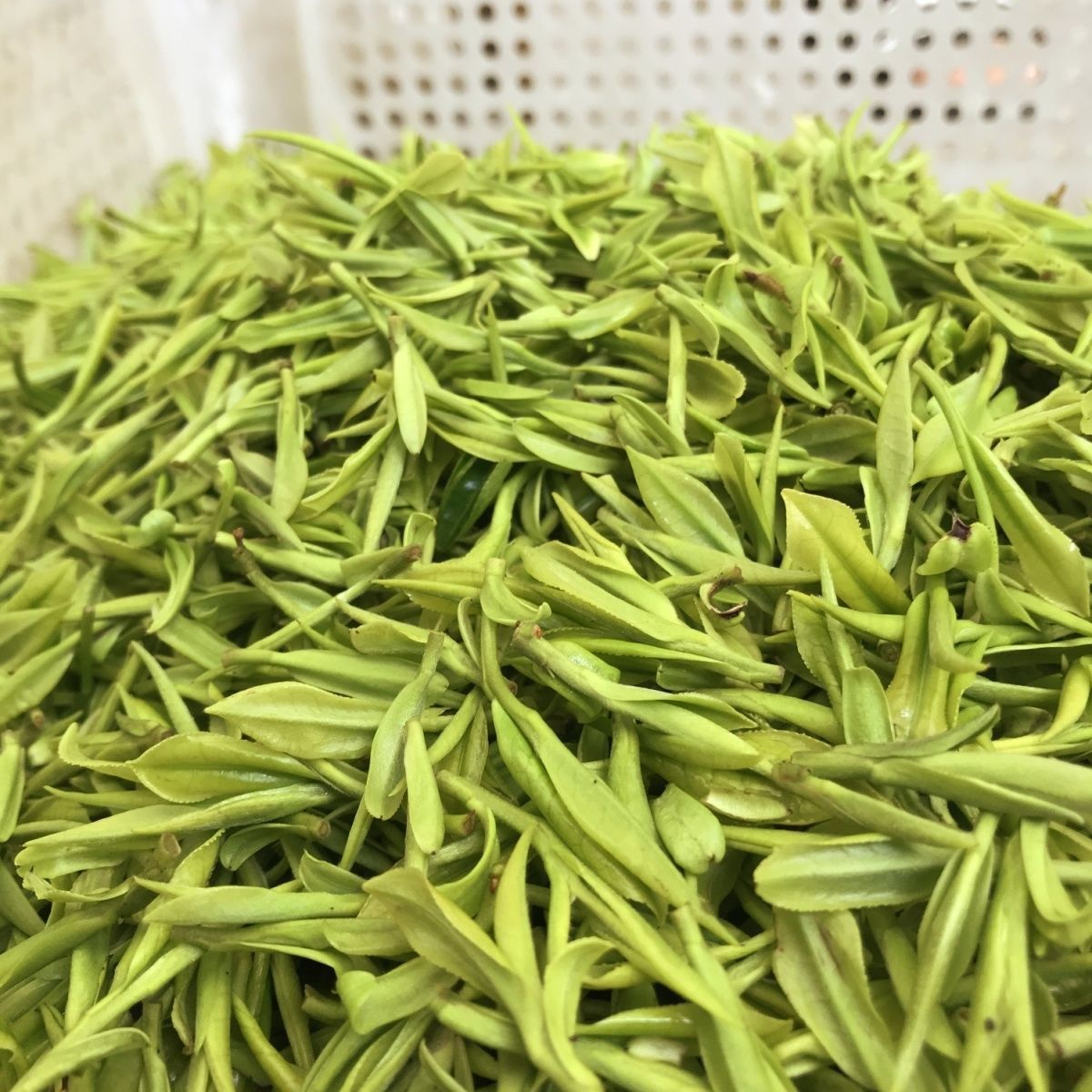 Huangcha Huoshan Huangya New Tea Mingqian Spring Tea Affordable Tea Alpine Tea Strong Fragrance Resistant Bag 250Gd1 Free Shipping