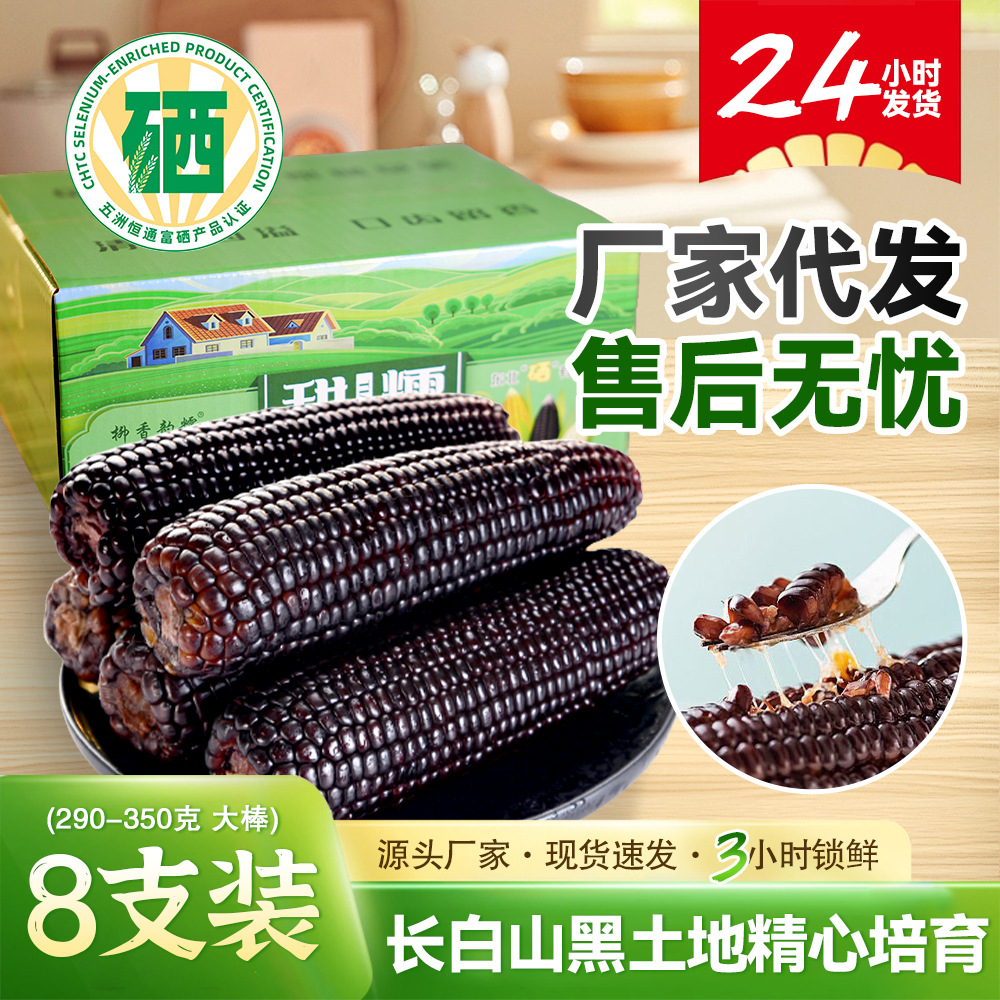 Свежая сезонная кукуруза северо-востока, клейкая кукуруза, черная кукуруза, богатая селеном, индивидуально вакуумно упакована, 8 крупных палочек сладкой кукурузы