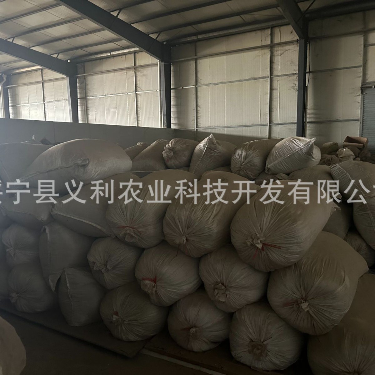 Wholesale Supply of Eucommia Tea, Eucommia Leaf Tea, Genuine 500g, Direct Sales from the Manufacturer, Honest Business, Affordable Price
