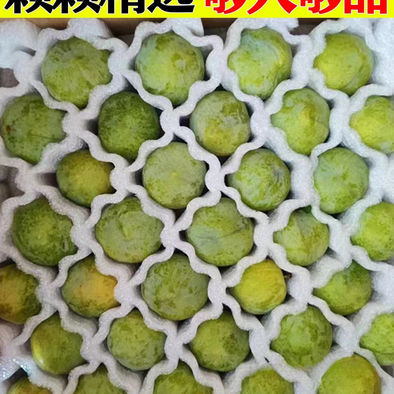 Sichuan Boneless Plums, Green Crispy Plums, Fresh Fruits, Seasonal Crispy Sweet Plums, Freshly Picked Large Fruits, Whole Box