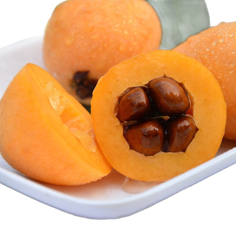 Sichuan Loquat Direct from the Place of Origin, Seasonal Fruit, Mi Yi Loquat, Free Shipping Via Sf Express, Fresh Fruit Loquat, One-Piece Dropshipping