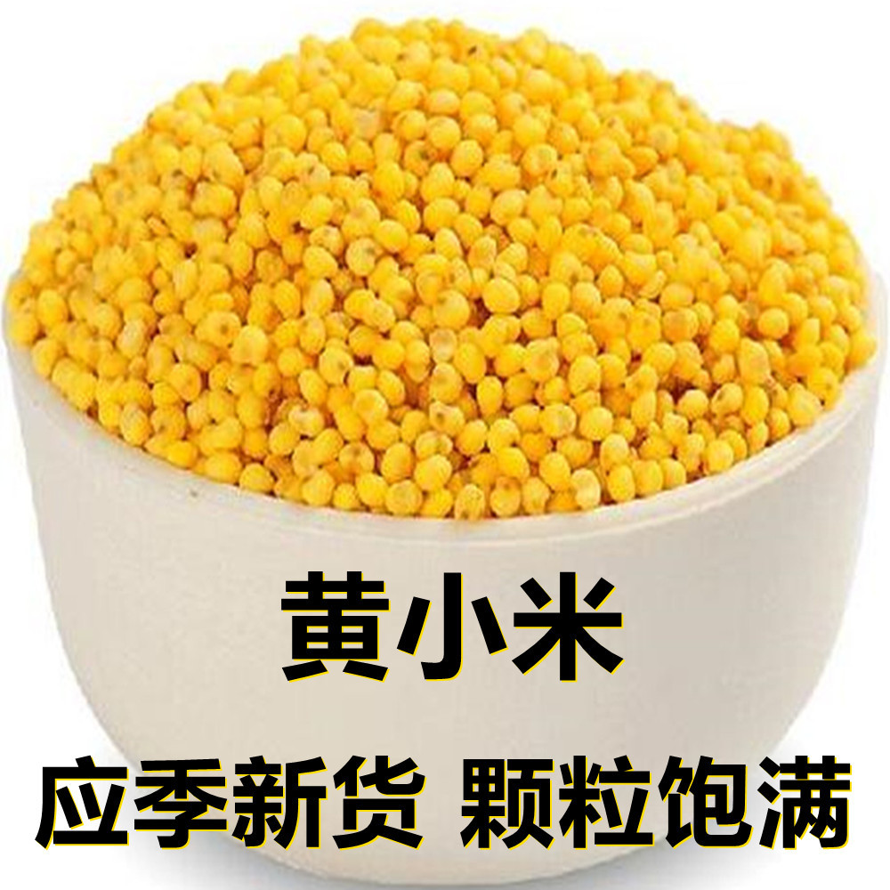 Свежий просо, желтое просо 500г, прямая поставка сезона, новый безкапсульный и полный безкапсульный, в комплекте с многозерновой кашей