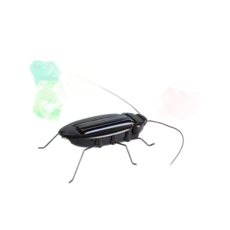 Solar Cockroach Puzzle Insect Model Animal Model Horror