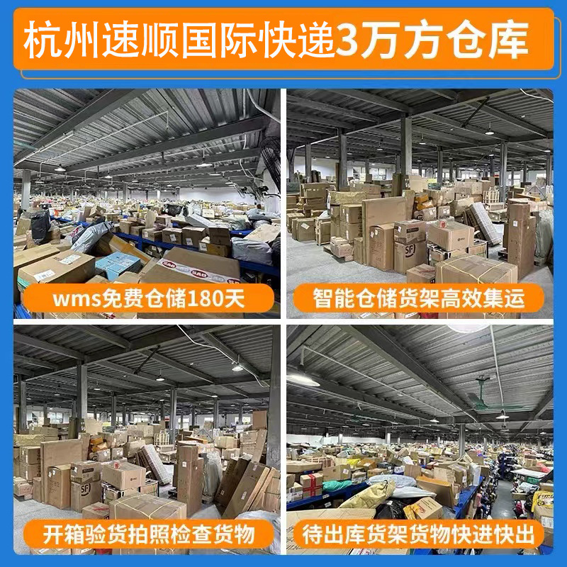 International Express Collection and Transshipment Mail United States, Britain, Canada, Germany, New Zealand, Switzerland Air Line Logistics