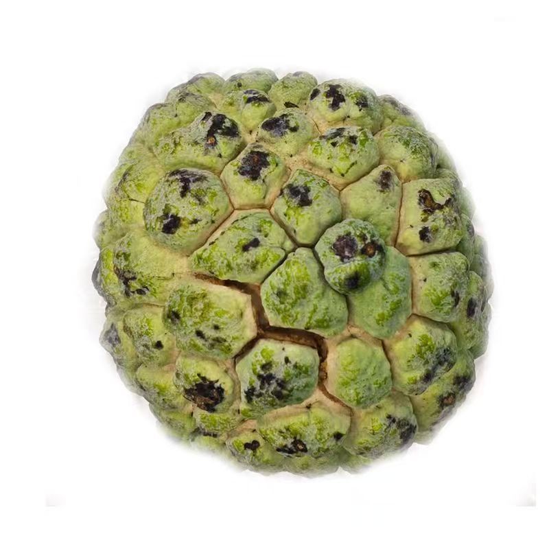 Fresh Sakyamuni Fruit, Huimen Guava, 2.5kg Guangxi-Produced Seasonal Rare Fruit, Sweet, Soft and Glutinous