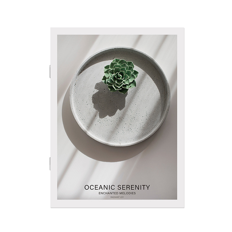 Ins Simple English Magazine Book Photography Props English Book Photography Background Model House Homestay Decoration