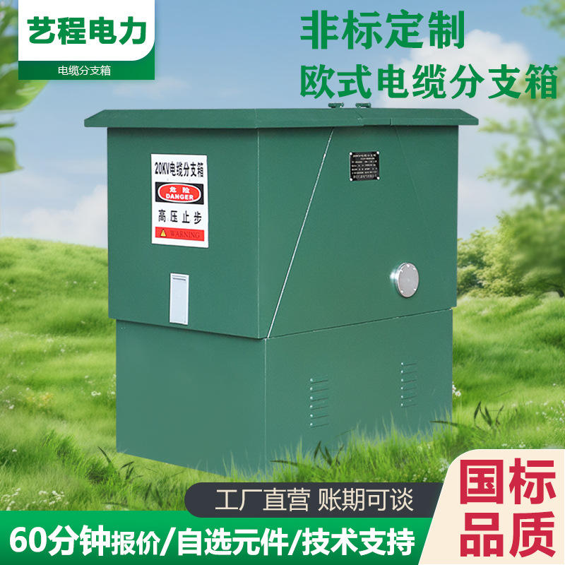 High Voltage Branch Box 10Kv European Cable Branch Box Dfw-12630A Outdoor Rainproof One in Two Three Four Five Out
