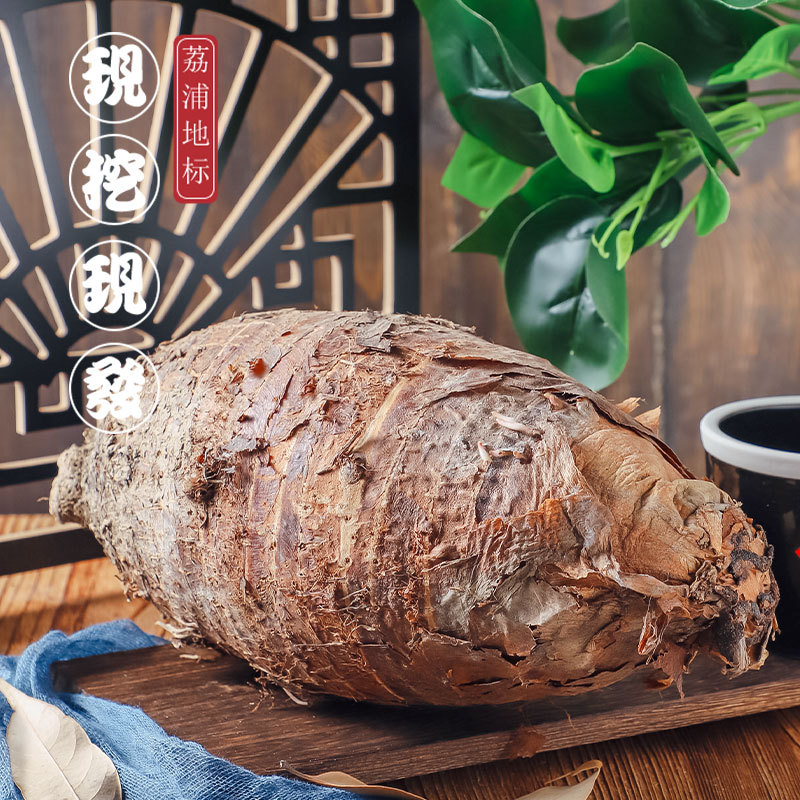 Authentic Guangxi Lipu Taro Extra Large Betel Nut Taro Fragrant Taro Taro Wholesale Planting Base Freshly Dug Straight Hair