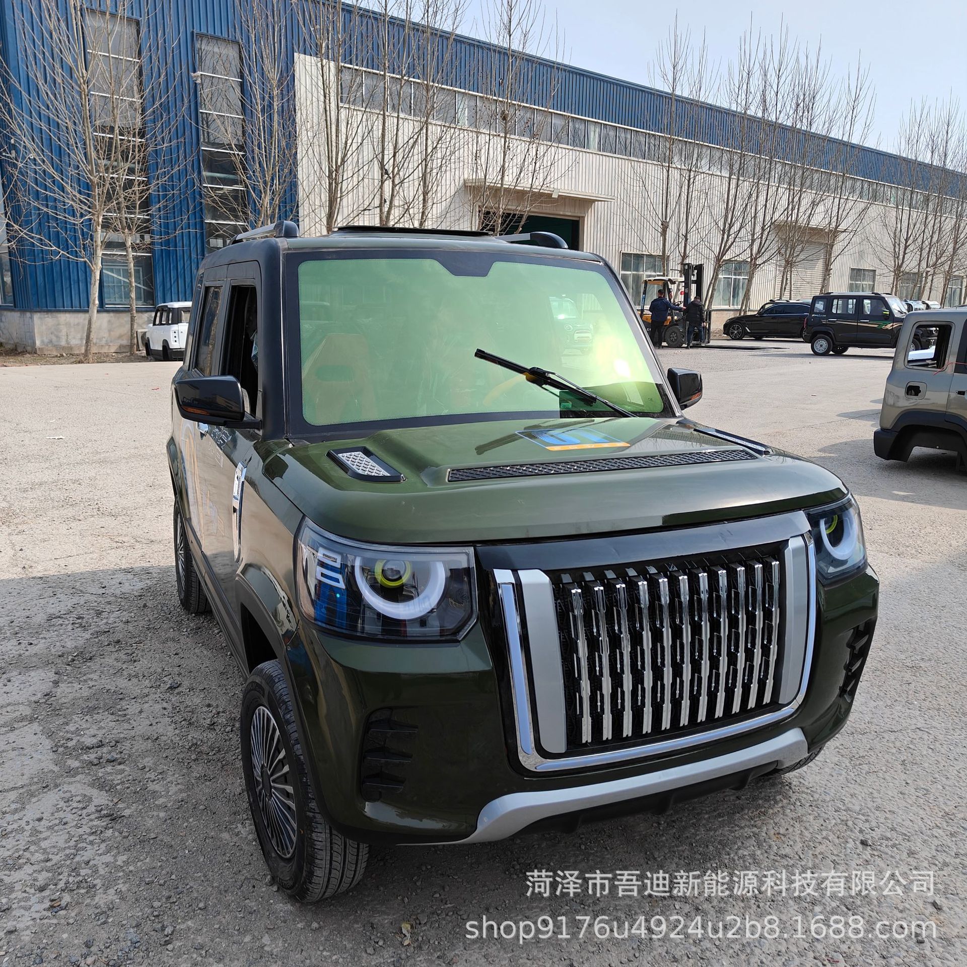 New Energy Electric Vehicle for Adult Household Use, Electric Car with Heating and Cooling Air Conditioner, Dual-Use Oil and Electricity, Foreign Trade Export Electric Vehicle