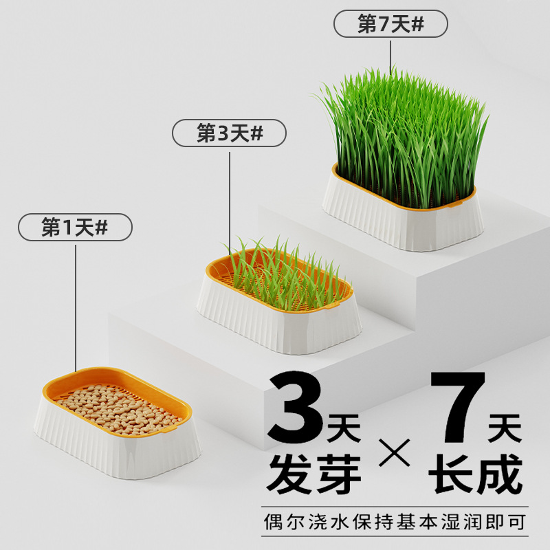 Cat Grass Potted Cat Grass Wheat Seeds Dog Grass Hydroponic Box Soilless Hydroponic Cat Hair Ball Pet Dog Snacks