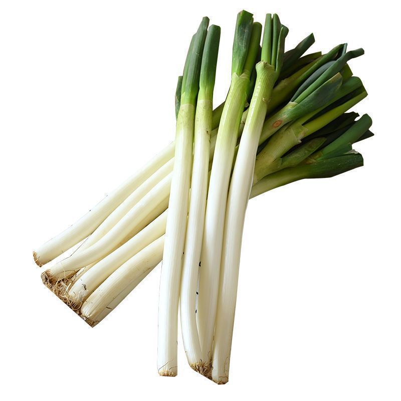 [Organic Certification] Free Shipping Shandong Green Onions Fresh Green Onions Chives 1.5kg Freshly Digged Vegetables to Remove Fishy Taste and Seasoning