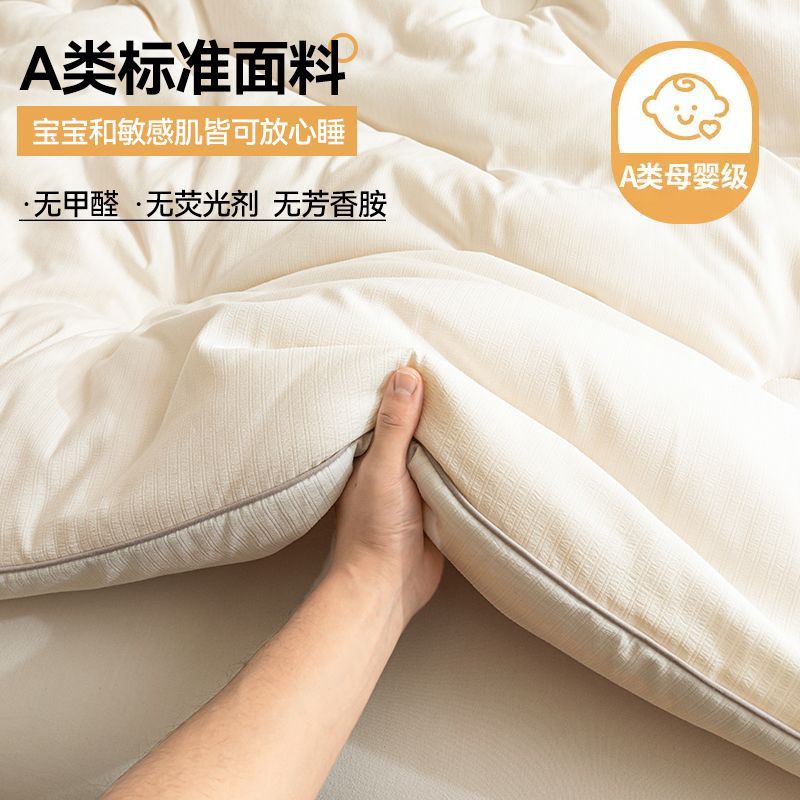 Thickened Soy Fiber Quilt for Warmth, Hotel Quilt, Extra Thick Winter Home Quilt, Spring and Autumn Quilt, Dormitory Winter Quilt Core