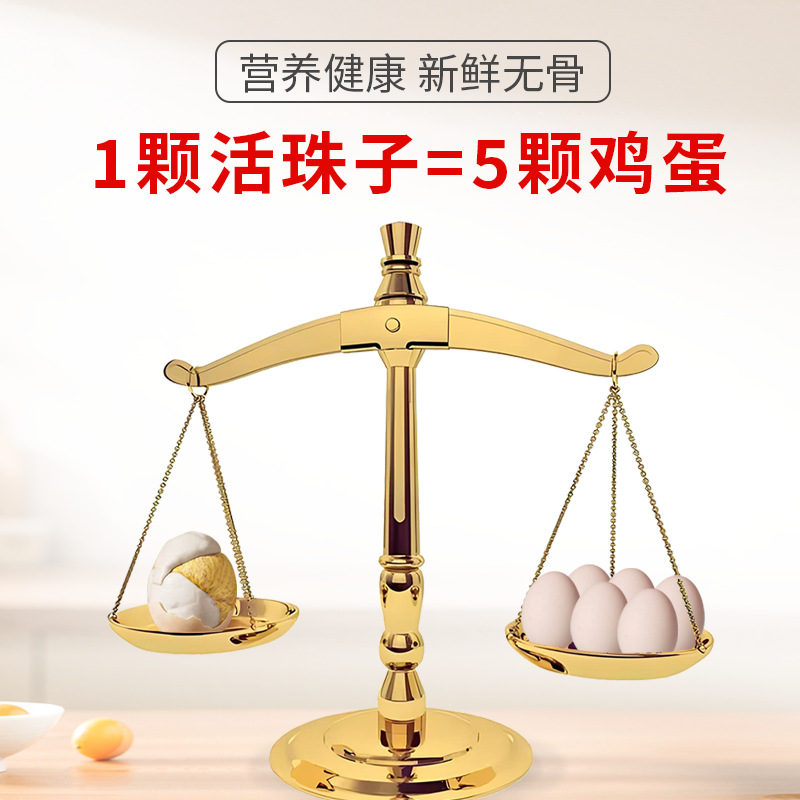 Live Beads (Local Specialty) Spiced Spicy Cooked Food Ready to Eat in Thirteen Days after Opening the Bag