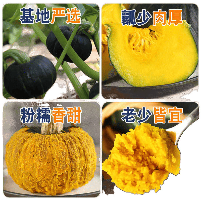 Authentic Beibei Pumpkin Chestnut Pumpkin Imported Seeds Beibei Small Pumpkin Baby Food Supplement 1 Jin 2.5kg Sweet and Fragrant