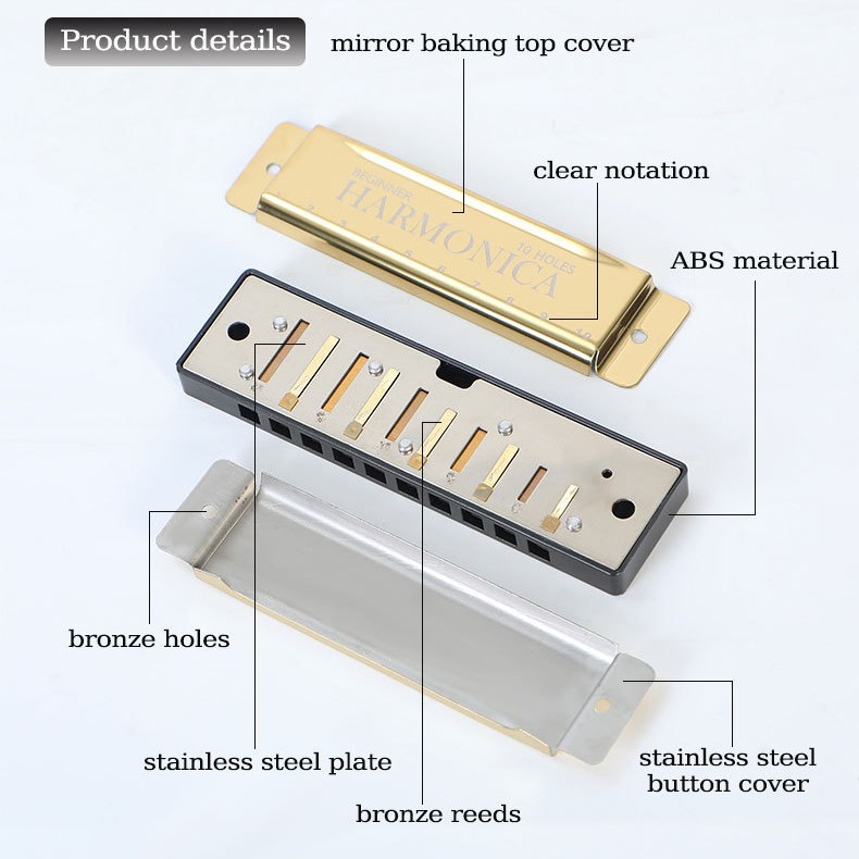 Ten-hole harmonica color ten-tone metal harmonica beginners students children men and women self-study entry musical instruments foreign trade money