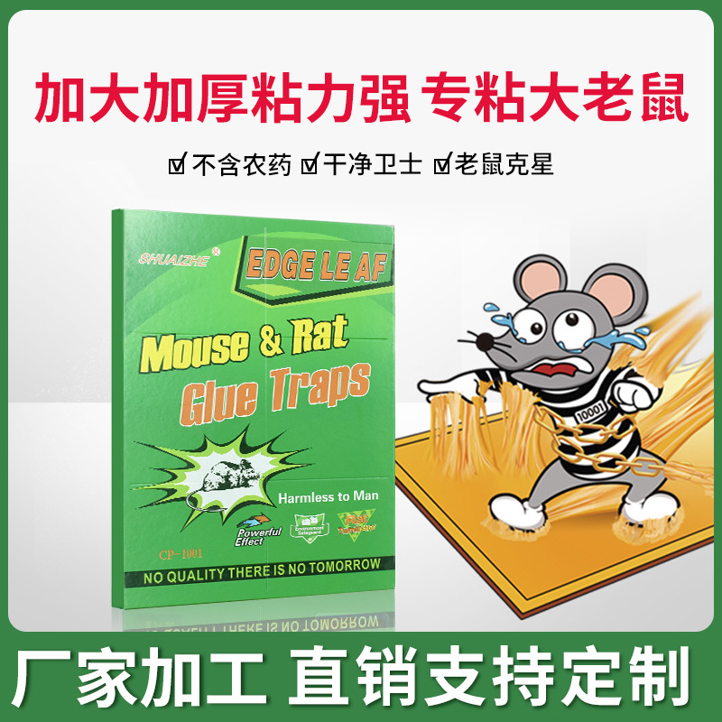 Cross-border foreign trade english version mouse sticky board super strong mouse sticker full Box 100 pieces factory wholesale household mouse board