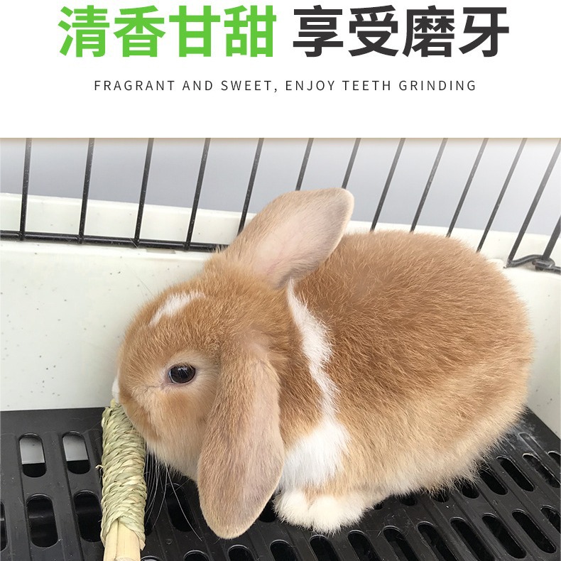 Pet Straw Sweet Bamboo Roll Rabbit Chinchilla Guinea Pig Molar Toy Manufacturer Wholesale Rabbit Chew Toy