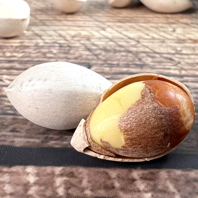 [Quality Large Fruit] 2025 Fresh Large White Ginkgo Nuts Raw Shelled Soup Sugar Water for Japanese Restaurants