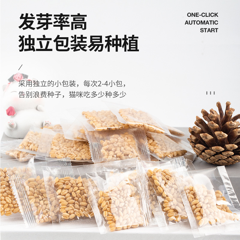 Семена кошачьей травы, семена пшеничной травы, семена для гидропонного выращивания, мячики для удаления шерсти, кошачья мята, лакомства для кошек