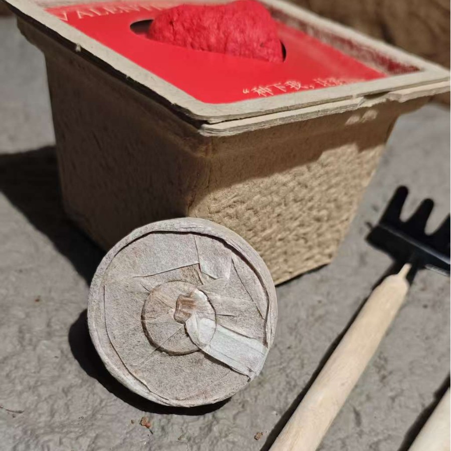 Customized 3D Heart-Shaped Seed Card, Plantable Seed Paper, Romantic Greeting Card, Event Holiday Eco-Friendly Card Gift