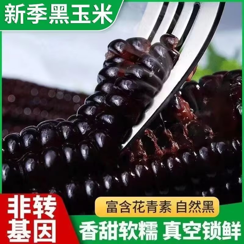Yugu Rice Field Northeast Black Glutinous Corn 8 Pieces Freshly Picked Black Corn Ready-To-Eat Vacuum-Packed Sweet Corn Substitute for Breakfast