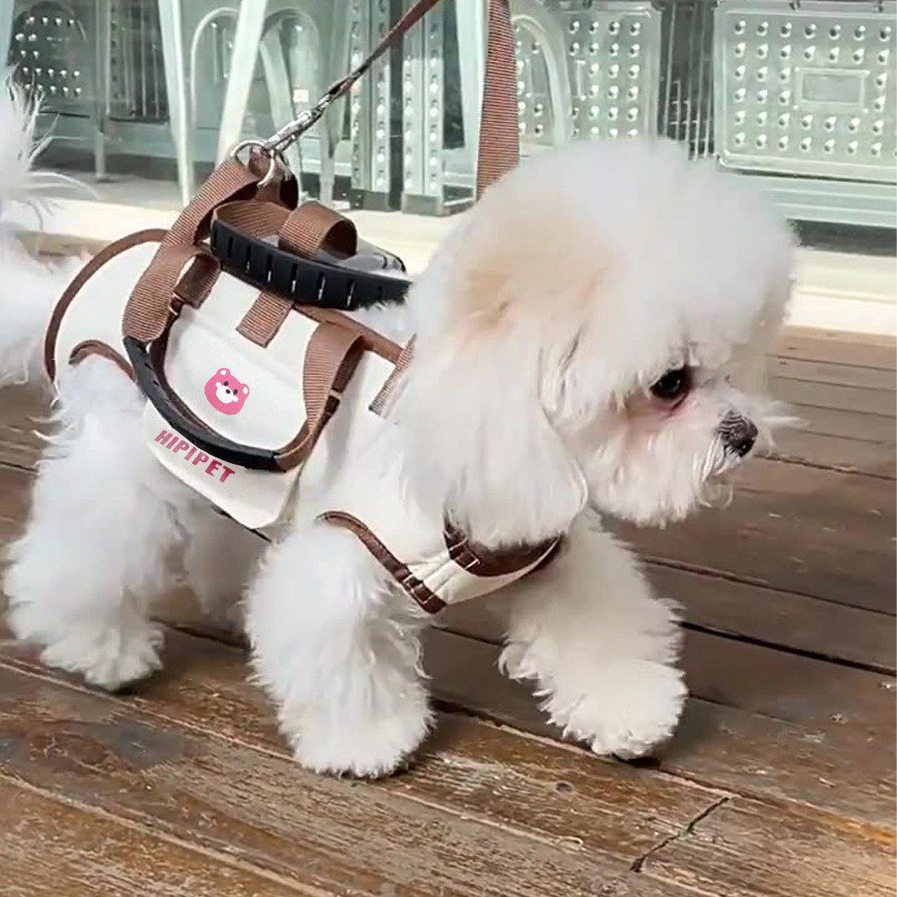 Pet Dog Carrier Backpack with Leash, Large Size for Walking Dogs