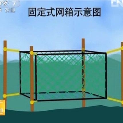 Oyster Culture Fixed Cage Support Pile