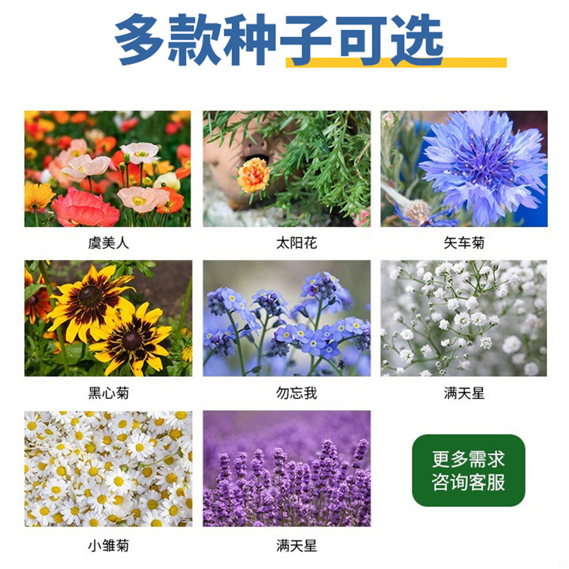 Seed paper seed card can germinate planting postcard bookmark ticket greeting card wedding raffle ticket eco-friendly customization