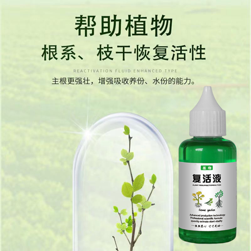 Universal Plant Flower Resurrection Solution for the Rapid Enhancement of Auxin Activity against Yellowing and Leaf-dropping of Light-rod Plants