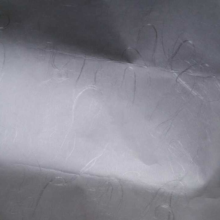 White Oil-absorbing Facial Tissue 50 Sheets Double Light