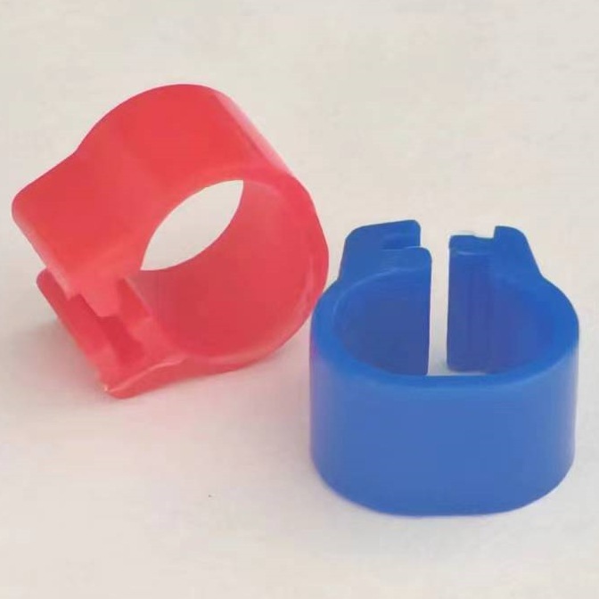 Кольцо для ног для голубей, попугаев, кольчатых голубей, аксессуары для птиц