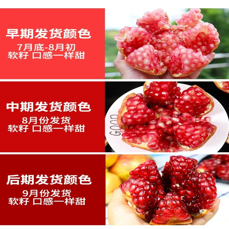 Directly Shipped from the Place of Origin of Tunisian Soft-Seed Pomegranates in Huali, Sichuan, Free Shipping of Fresh Small Colored Pomegranates, One-Piece Drop Shipping