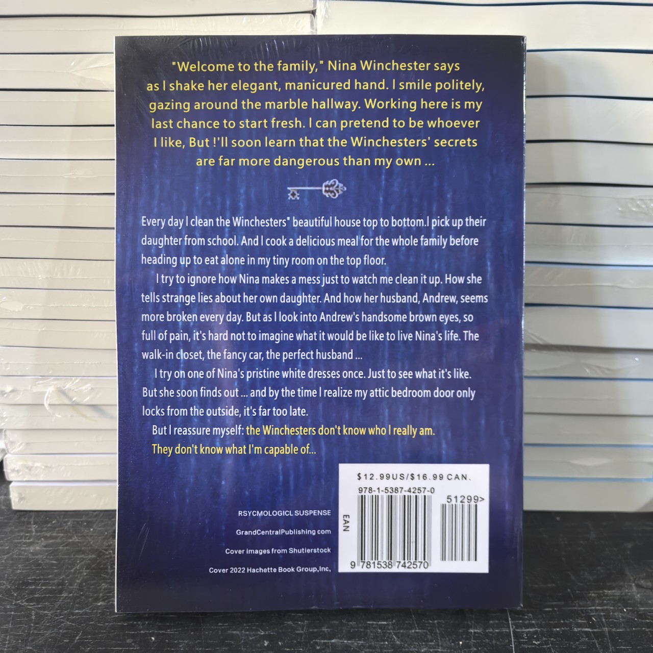 The Housemaid Maid English Version of the Thriller Suspense Novel