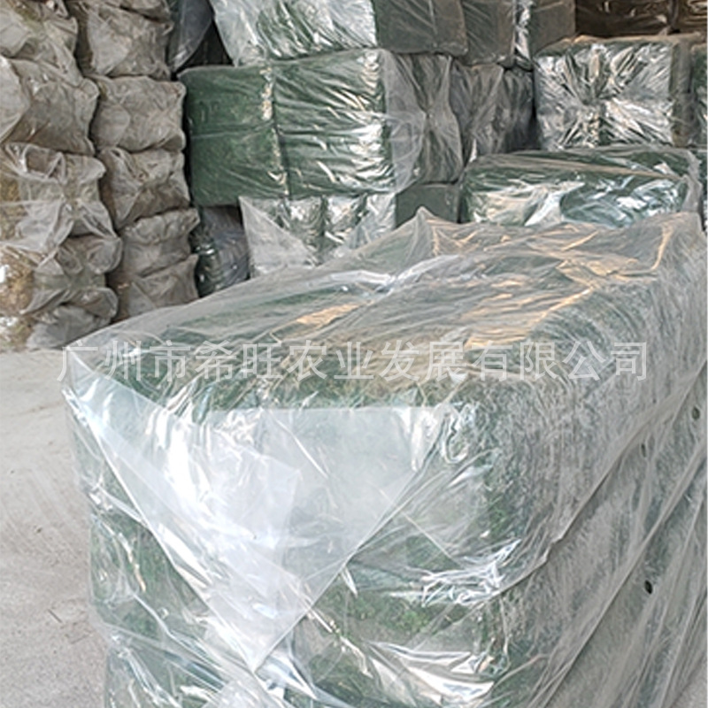 Bonsai Micro-View Flower Pot Paving Moss Xwang Green Moss Turf Moss Plant Green Dry Moss