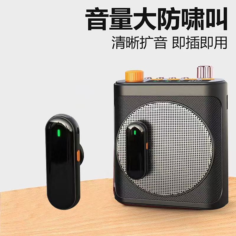 Wireless Lavalier Microphone with Magnetic Charging, Small Bee Amplifier, Teacher and Tour Guide Dedicated Outdoor Amplification Microphone