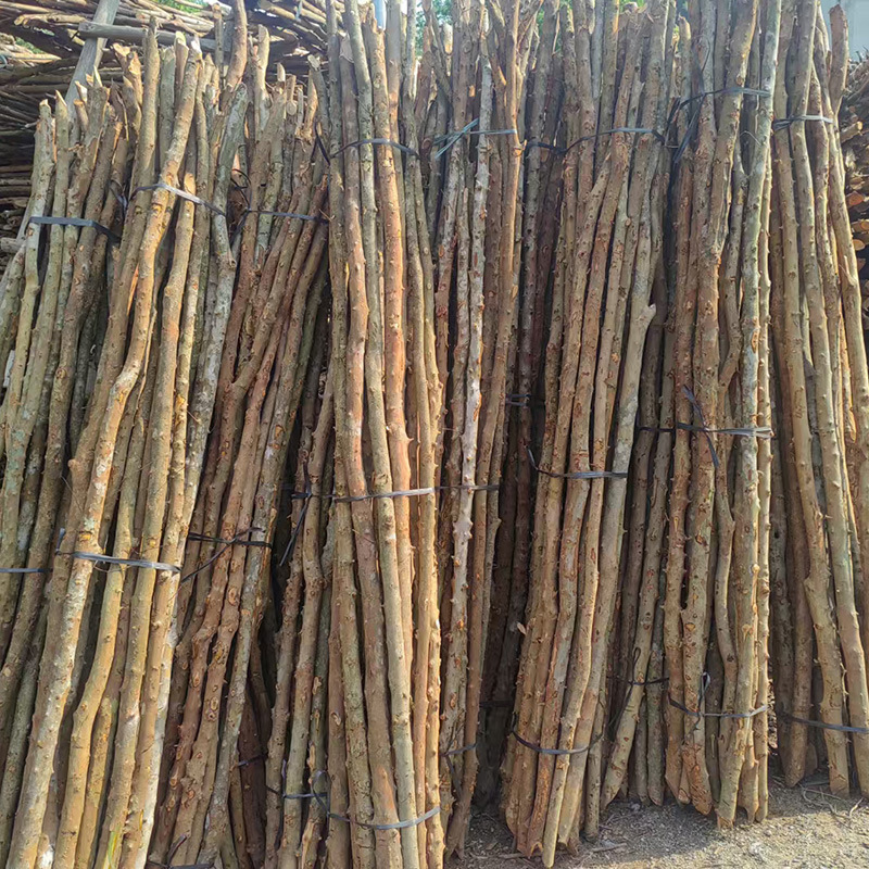 Ready-Made Dry Branches for Indoor and Outdoor Decoration Materials, Tree Trunks, Fence Materials, Wood Branches, Rattan, Over-The-River Dragon, Yellow Oxwood