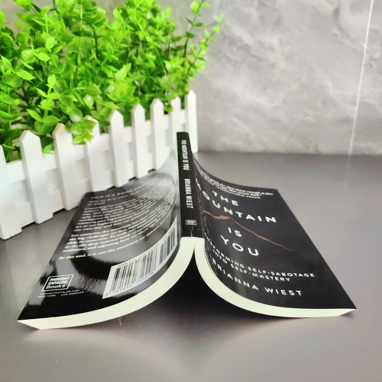 The Mountain Is You the Mountain Is You Self Transformation English Version