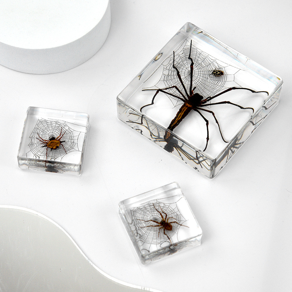 Millennium bug source manufacturers primary source cross-border exclusive for insect specimens real spider resin crafts ornaments