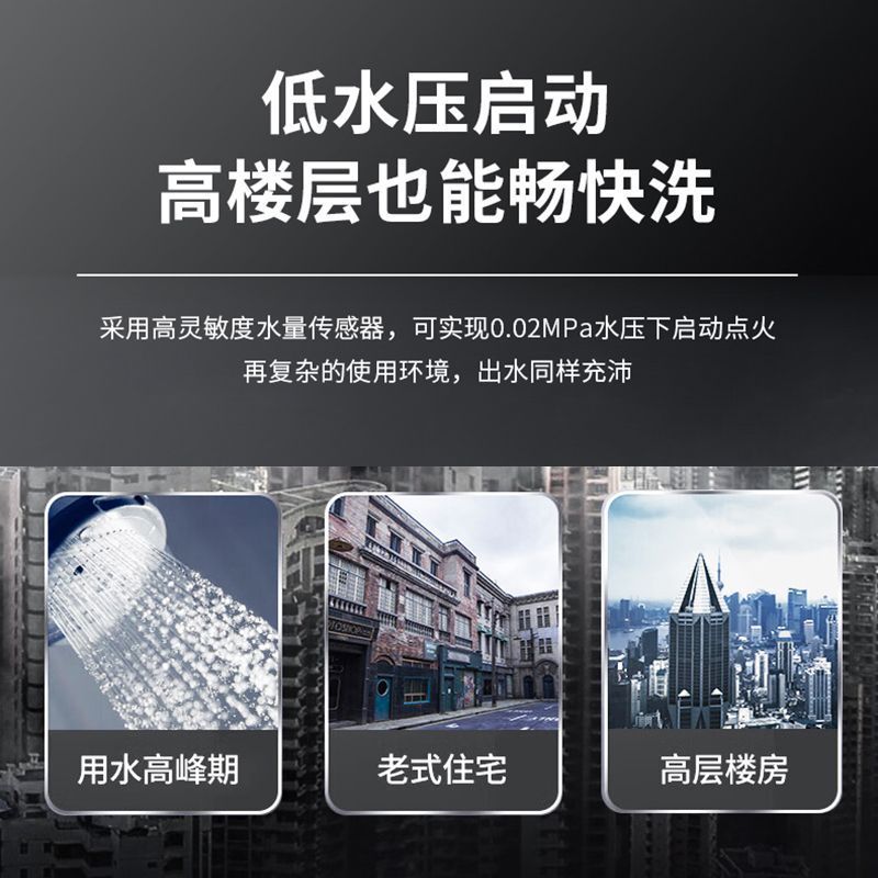 Gas Water Heater Household Natural Gas Liquefied Gas Bath Forced Exhaust Constant Temperature Balanced Model Free Shipping Amazon