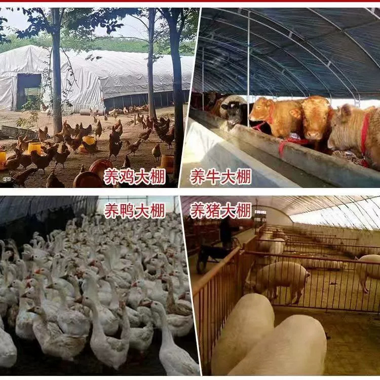 Foreign Trade Cross-Border Delivery Pe Transparent Agricultural Plastic Film Plastic Cloth Thickeneded Black and White Drip-Free Film Greenhouse Film Po Film