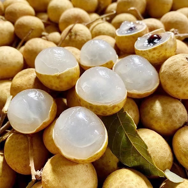 Свежесобранный лонган из Фуцзяни, свежие сладкие фрукты 3кг 5кг, бесплатная доставка