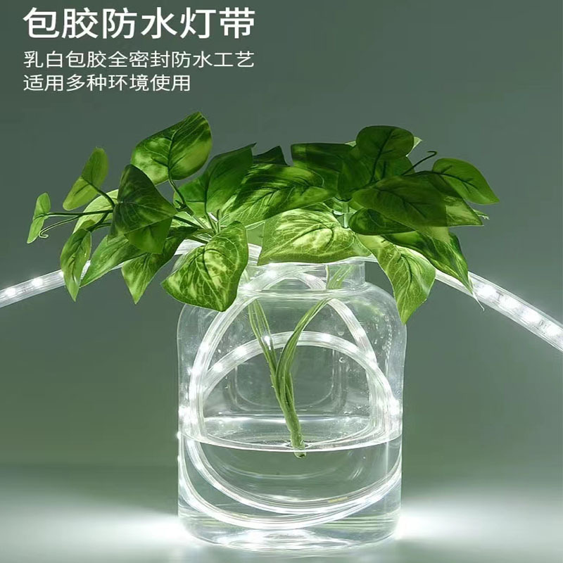 Led Light Strip Low Voltage 24V36V High Brightness 2835 Double Row Outdoor Engineering Waterproof Tunnel Mine Tower Crane Atmosphere Light