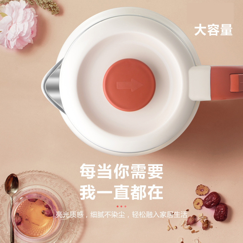 Multifunctional Water Kettle New Household Thermal Insulation Integrated Constant Temperature Intelligent Stainless Steel Fully Automatic Electric Water Kettle