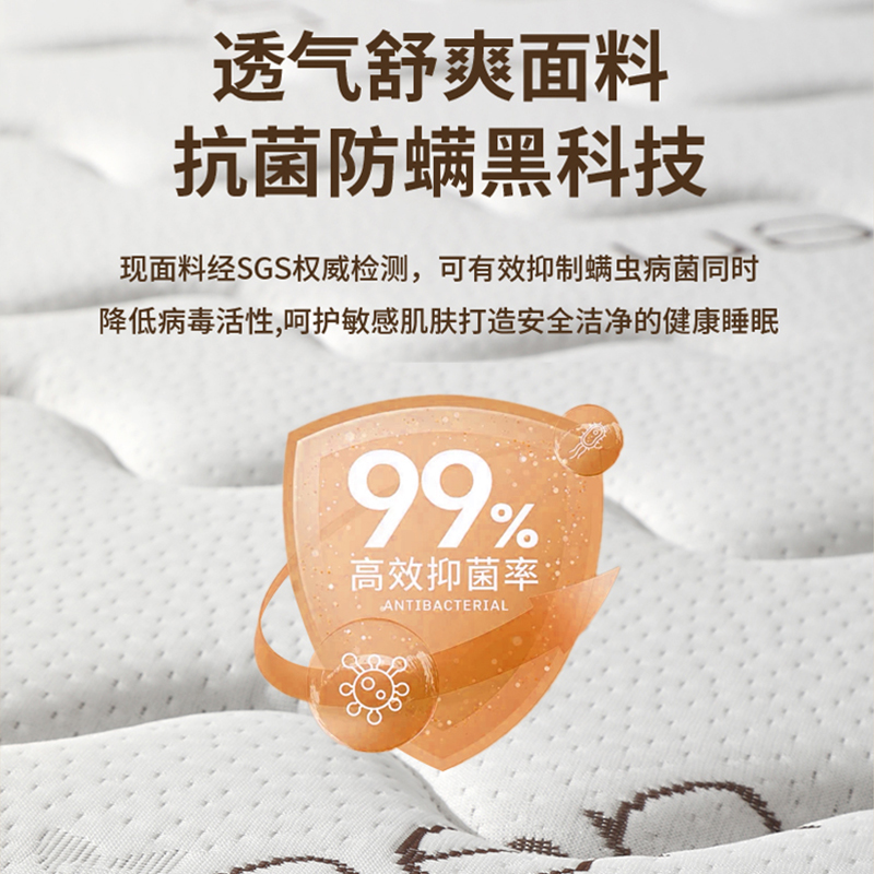 Mattress Natural Coconut Palm Household Hard Mat for the Elderly and Children Waist and Spine Protection Foldable Latex Palm Mat