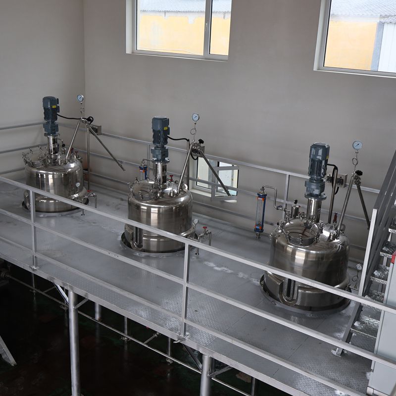 Bacillus Thuringiensis Fermentation Tank 1000L Trichoderma Fermentation Tank Ruisheng Machinery Produces Stainless Steel Fermentation Tank