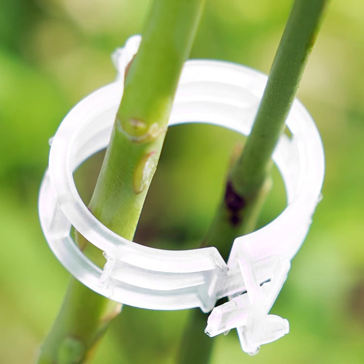 Plant Clips, Vine Clips, Plastic Vine Clips, Branch Clips, Vine Clips, Vine Support Clips, Vine Fixing Clips Wholesale