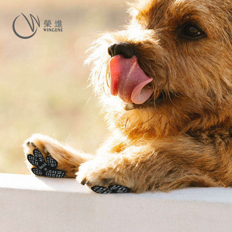 Manufacturer's New Pet Products Breathable Dog Foot Patch Non-Slip Waterproof Dog Insole Dog Shoes Cross-Border Amazon