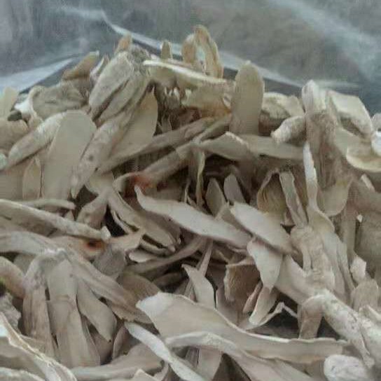 Gutian Manufacturer Direct Sales Fulian Chicken Leg Mushroom Edible Fungi Bulk Wholesale Chicken Leg Mushroom Dry Goods Shiitake Mushroom 500g